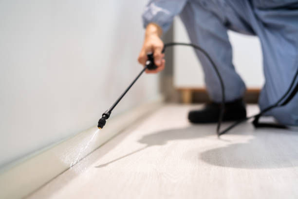Best Termite Control Services  in Petersburg, VA