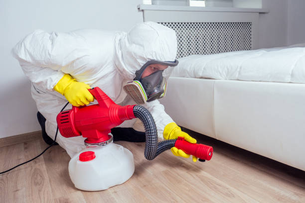 Best Mosquito Control Services  in Petersburg, VA